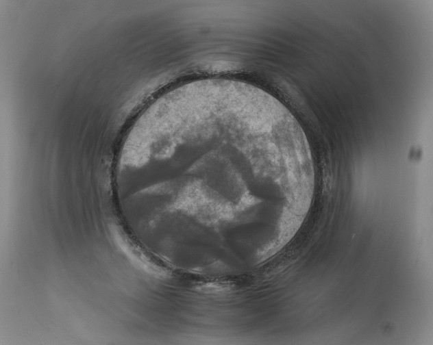 X0000113140447200910021443
