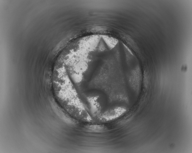 X0000113140449200910021443