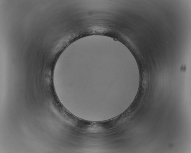 X0000113140451200910021443
