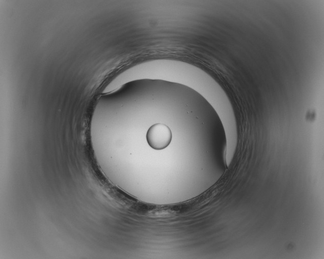X0000113140452200910021443