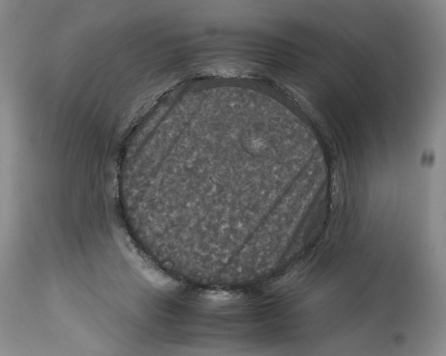 X0000113140453200910021443