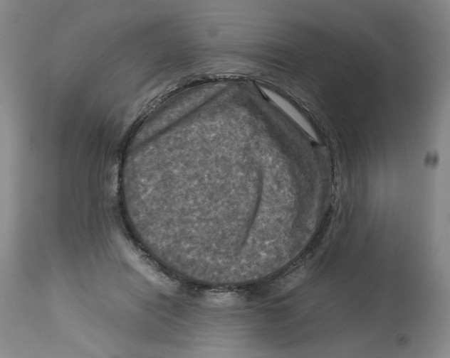 X0000113140454200910021443