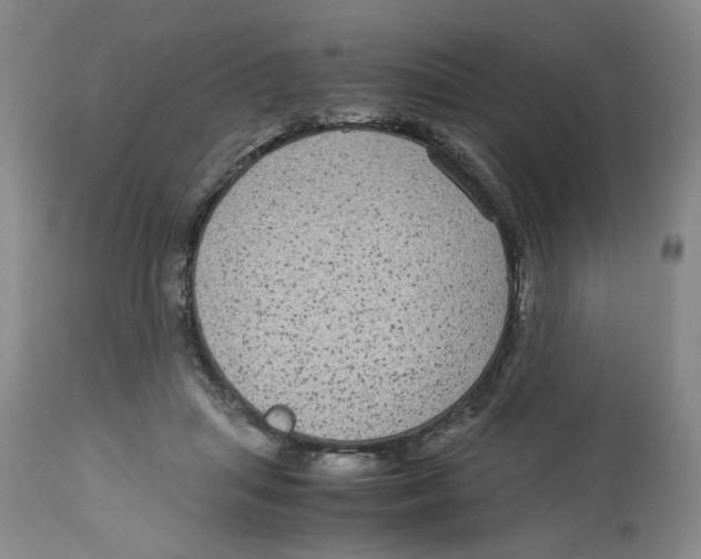 X0000113140455200910021443