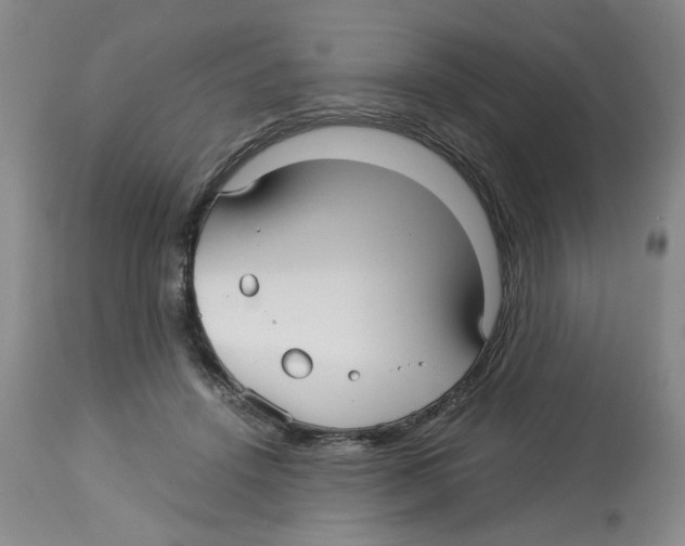 X0000113140456200910021443