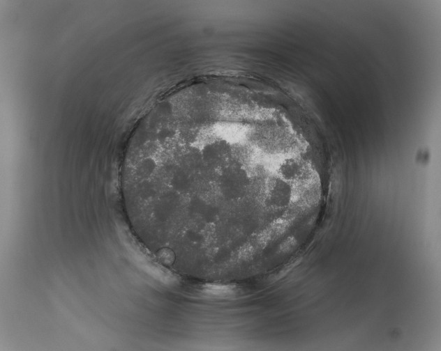 X0000113140457200910021444