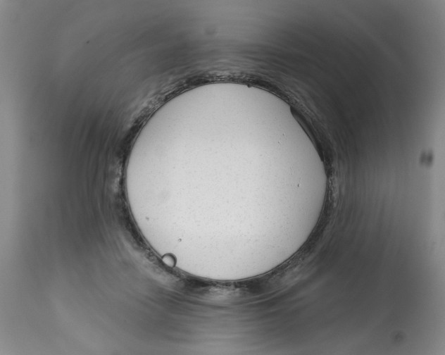 X0000113140458200910021444