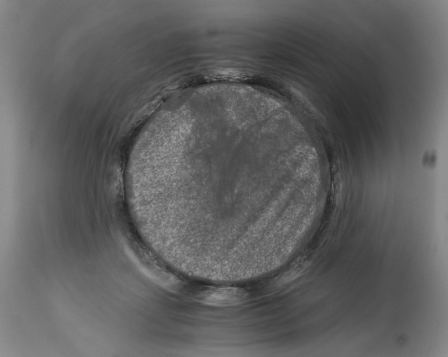 X0000113140459200910021444