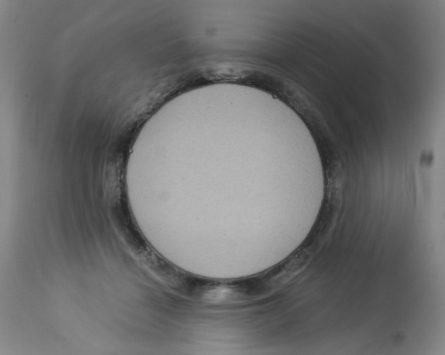 X0000113140460200910021444