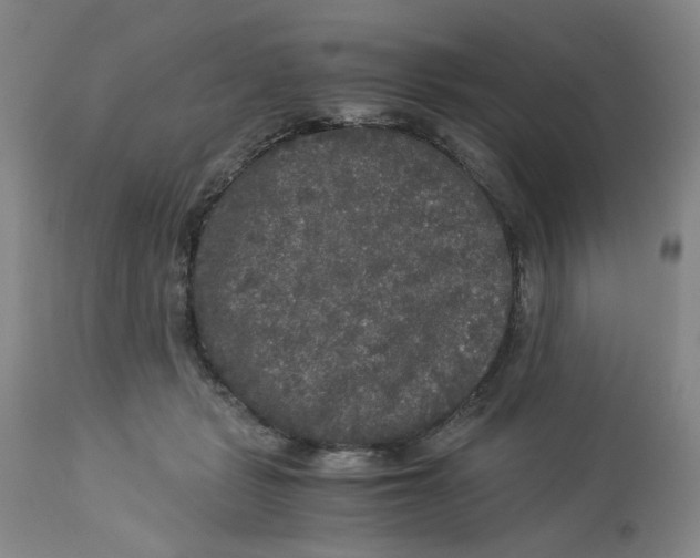 X0000113140461200910021444