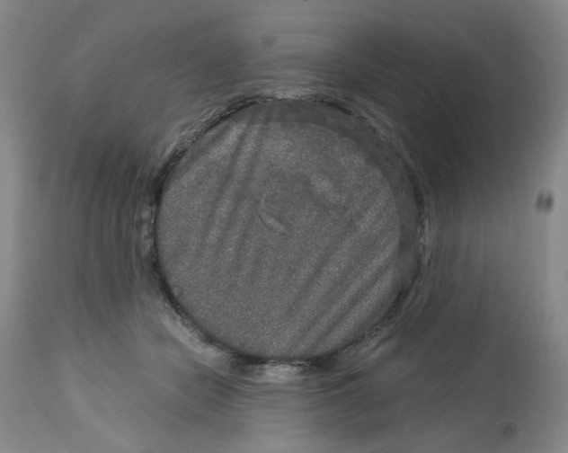 X0000113140462200910021444
