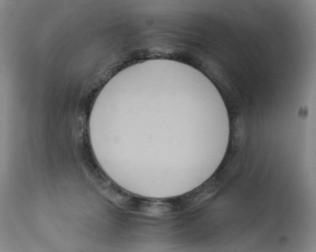 X0000113140463200910021444