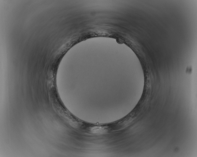 X0000113140465200910021444