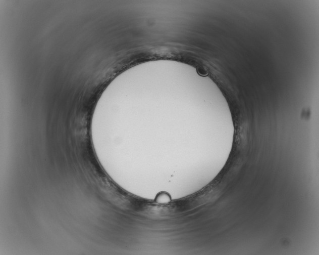 X0000113140466200910021444