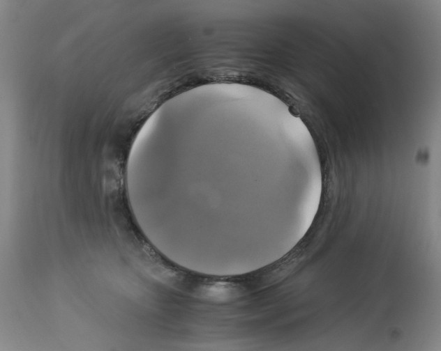 X0000113140467200910021444