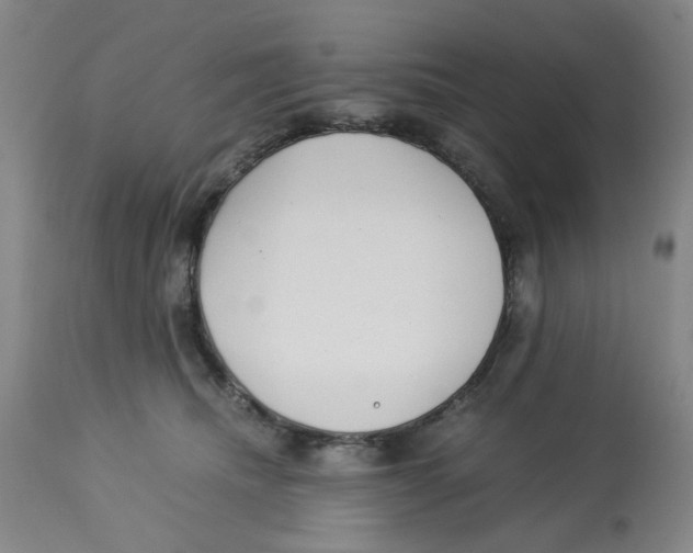 X0000113140468200910021444