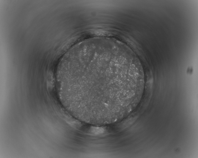 X0000113140469200910021444