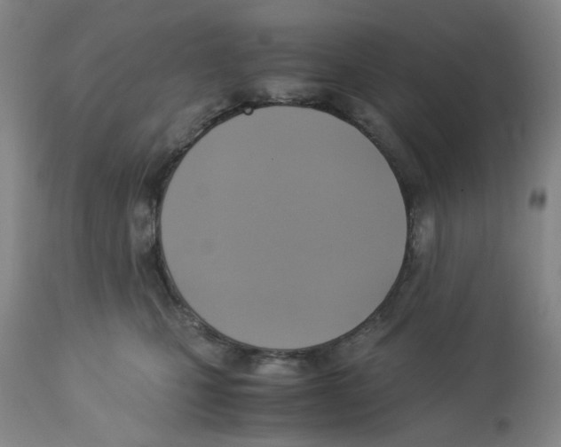 X0000113140471200910021444