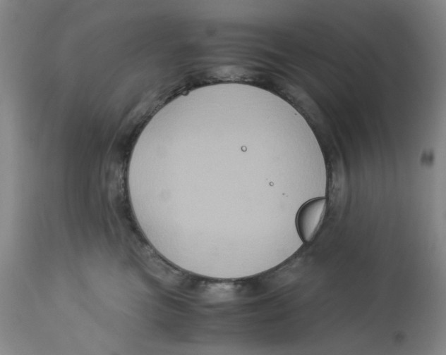 X0000113140473200910021444