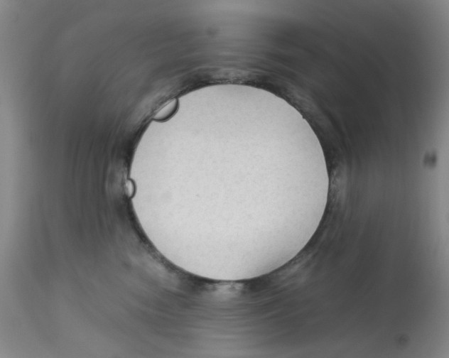 X0000113140474200910021444