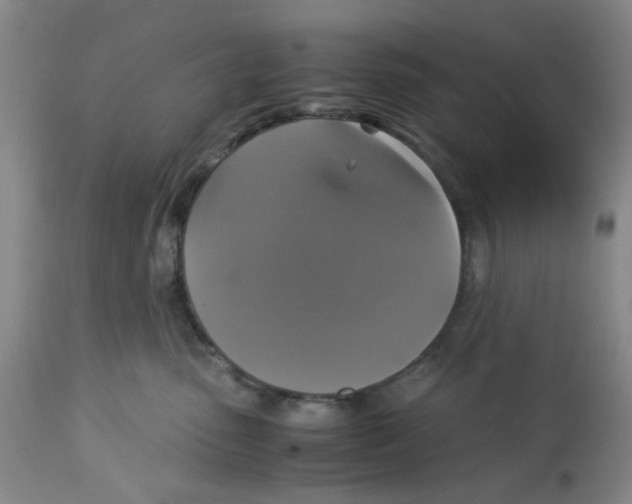 X0000113140475200910021444