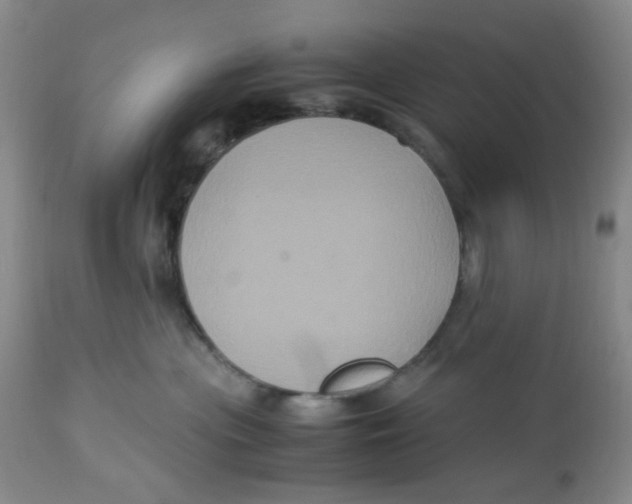X0000113140477200910021444