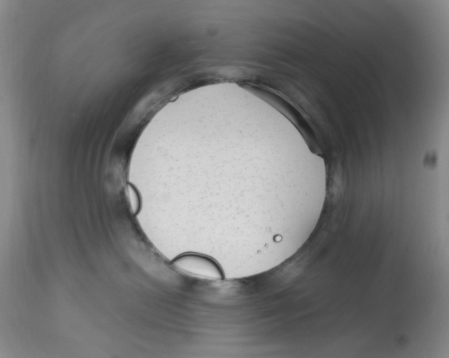 X0000113140478200910021444