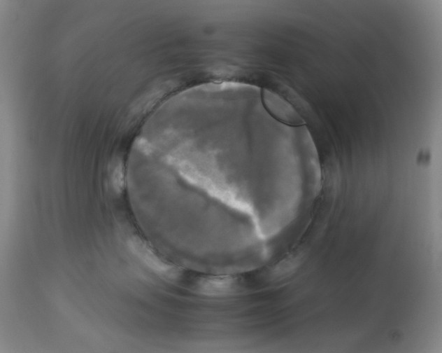 X0000113140479200910021444