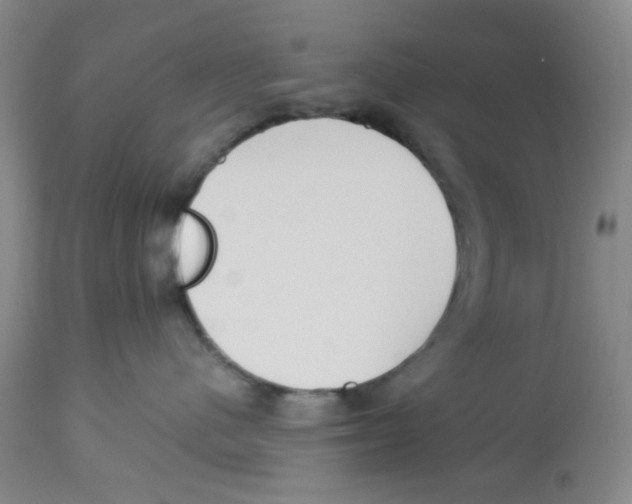 X0000113140480200910021444