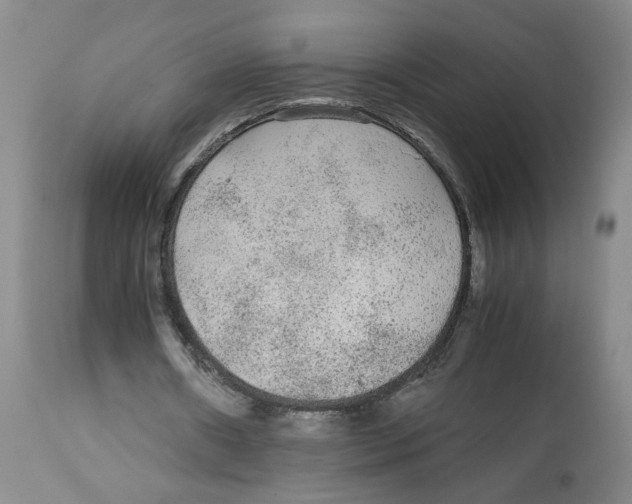 X0000113140482200910021443