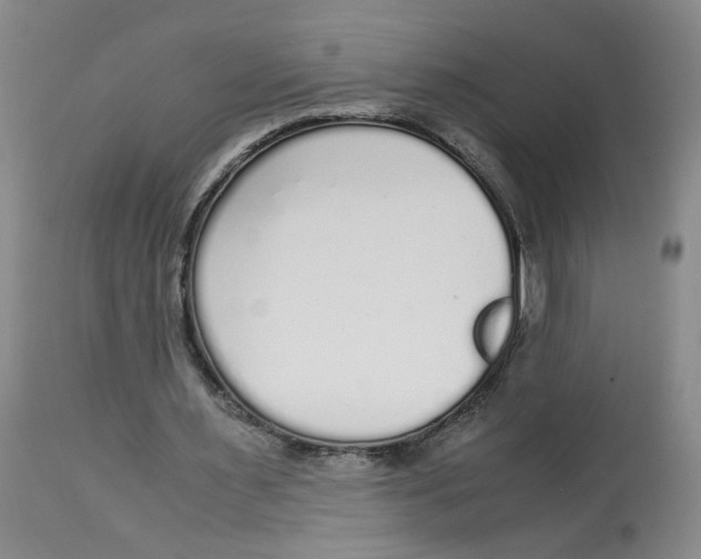 X0000113140483200910021443