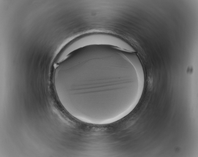 X0000113140484200910021443