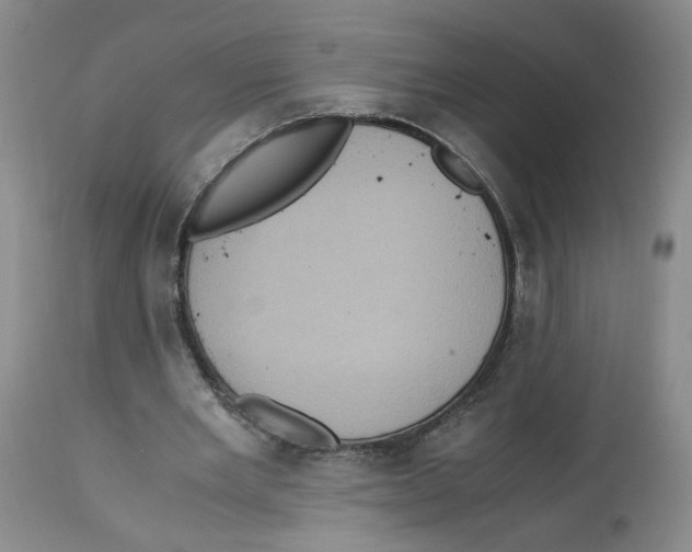 X0000113140485200910021443