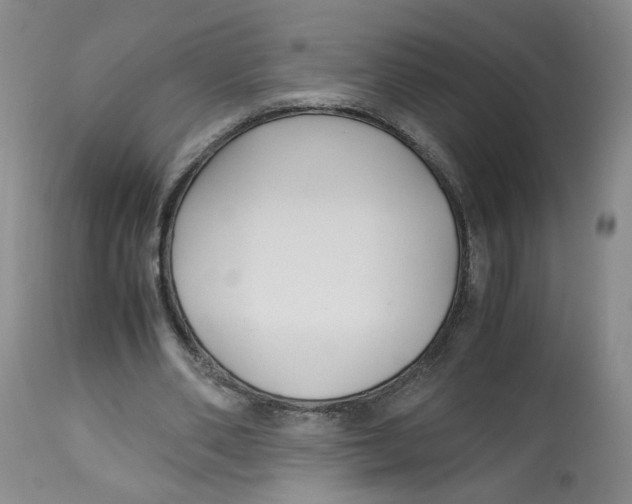 X0000113140486200910021443