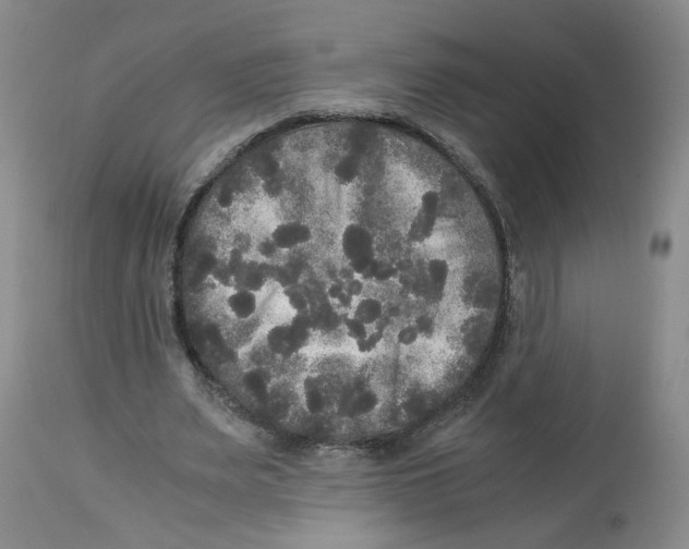 X0000113140487200910021443