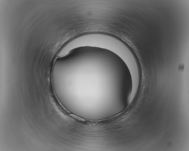 X0000113140489200910021443