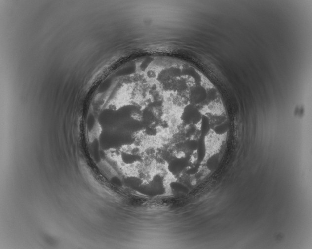 X0000113140491200910021443