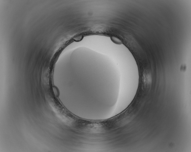 X0000113140492200910021443