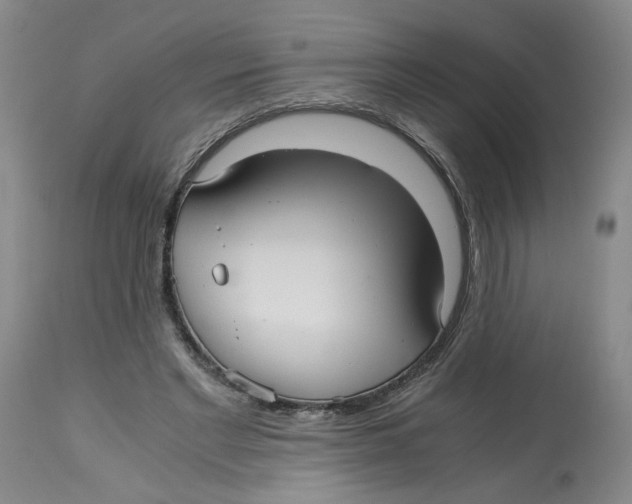 X0000113140493200910021443