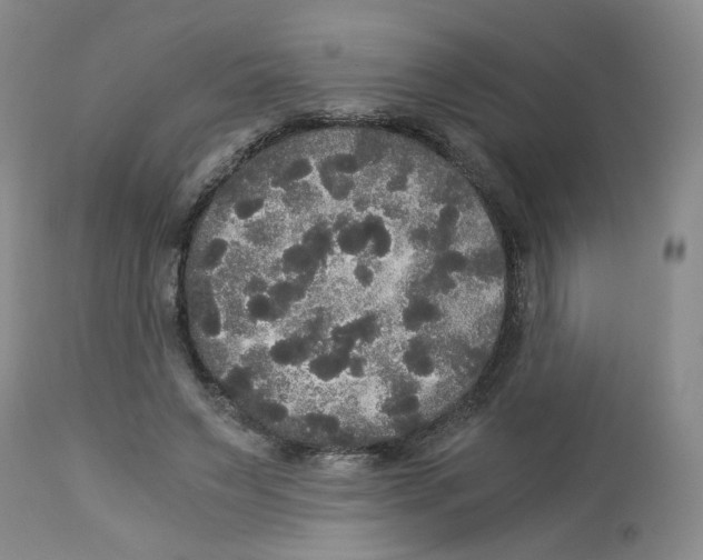 X0000113140495200910021443