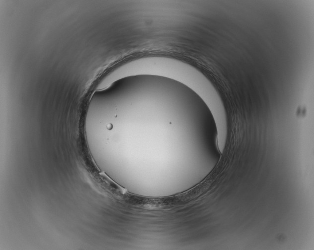 X0000113140496200910021443