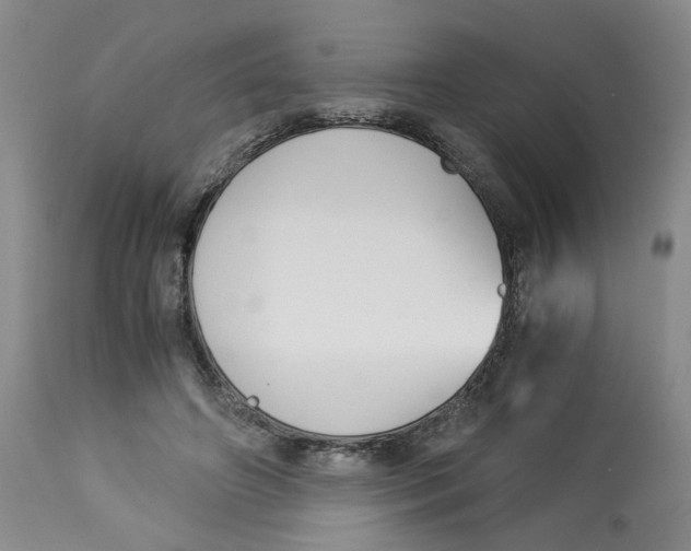 X0000113140498200910021443