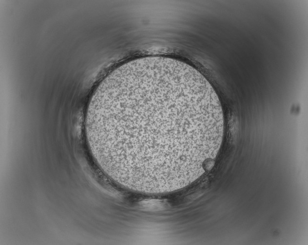 X0000113140499200910021443