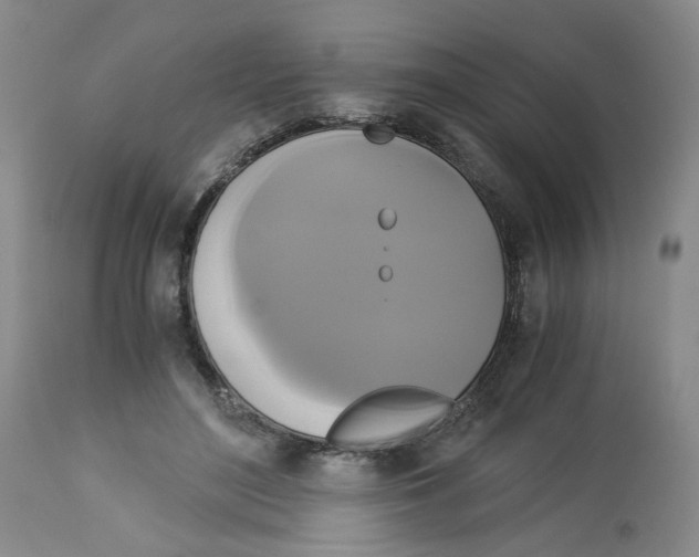 X0000113140500200910021443
