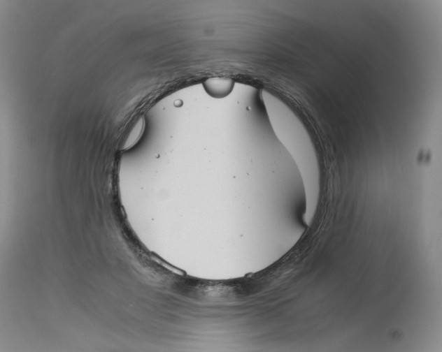 X0000113140501200910021443