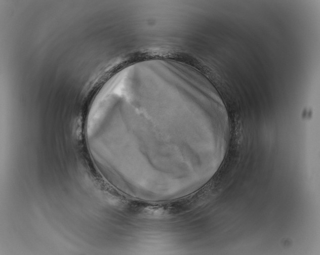 X0000113140502200910021443