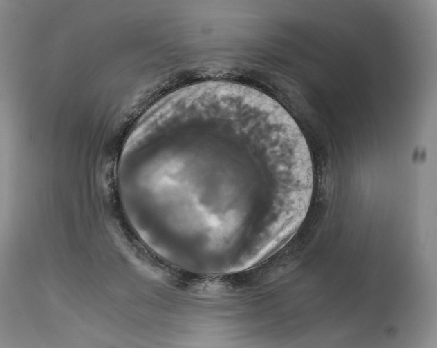 X0000113140503200910021443