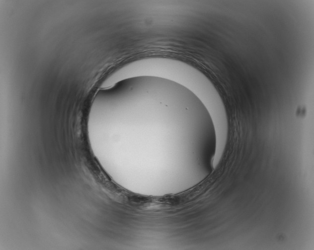 X0000113140504200910021443
