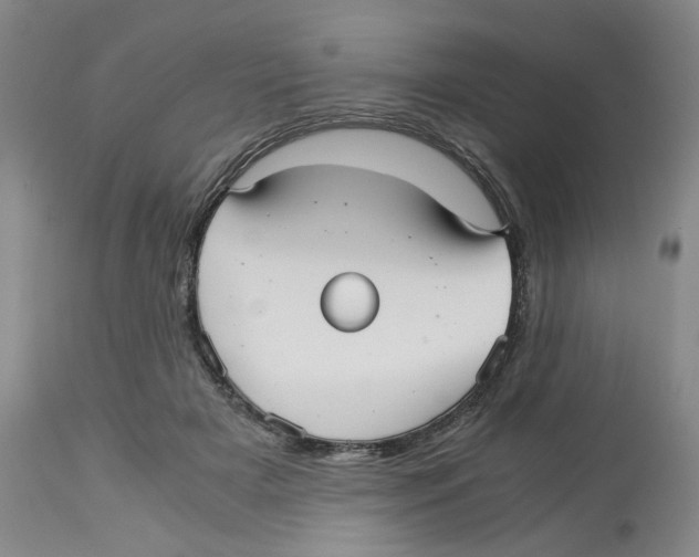 X0000113140505200910021443