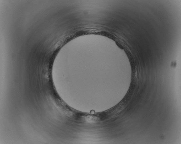 X0000113140512200910021443