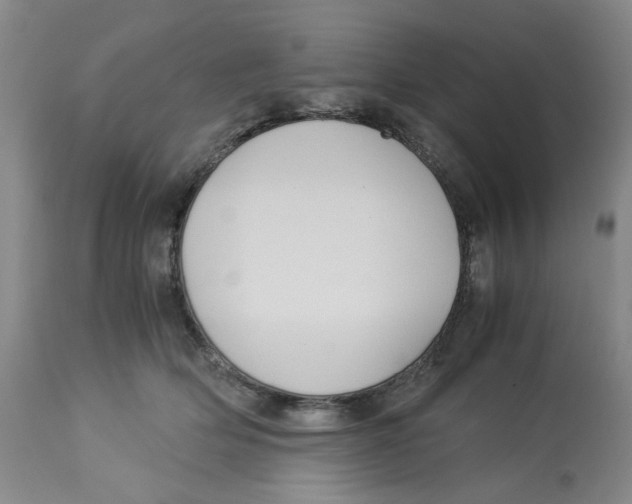 X0000113140514200910021443